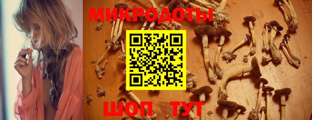 Псилоцибиновые грибы ЛСД Сочи