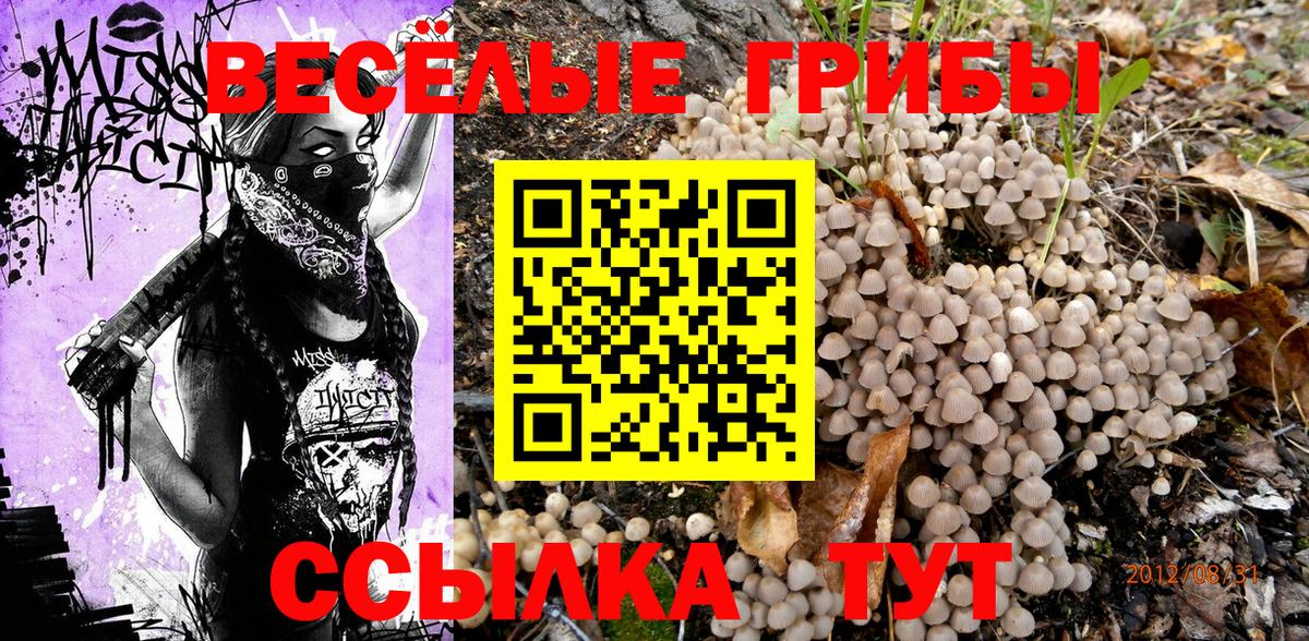 Псилоцибиновые грибы Psilocybine cubensis  Вход с VPN  Сочи 